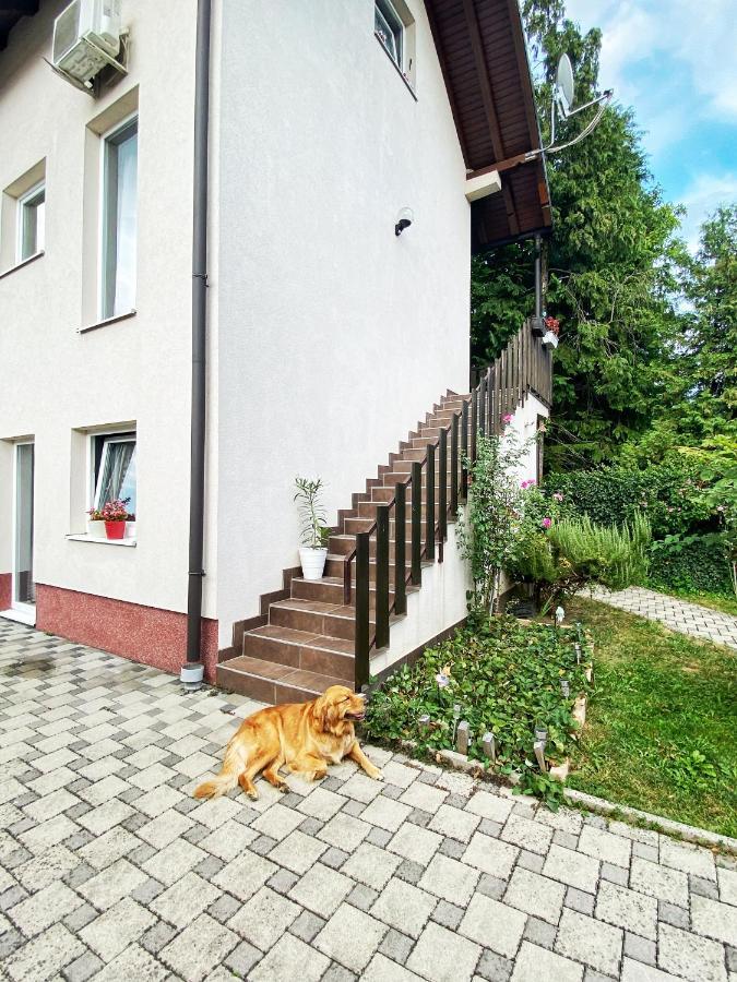 Hotel Guesthouse Stari Jasen Velika Mlaka Exteriér fotografie