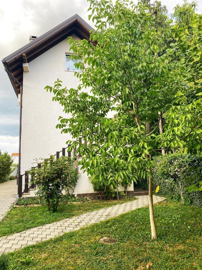 Hotel Guesthouse Stari Jasen Velika Mlaka Exteriér fotografie